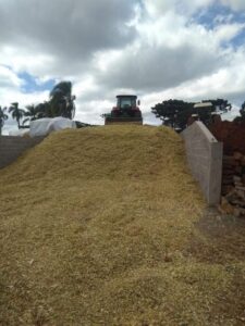 Equipe da Secretaria de Agricultura intensifica trabalhos de silagem