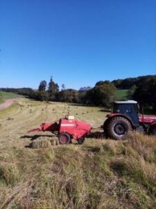 Equipe da Agricultura auxilia na produção de feno nas propriedades